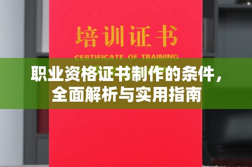 邵阳县职业资格证书制作的条件，全面解析与实用指南